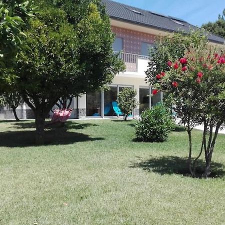 Vila Casa Da Cavada Caminha Exteriér fotografie